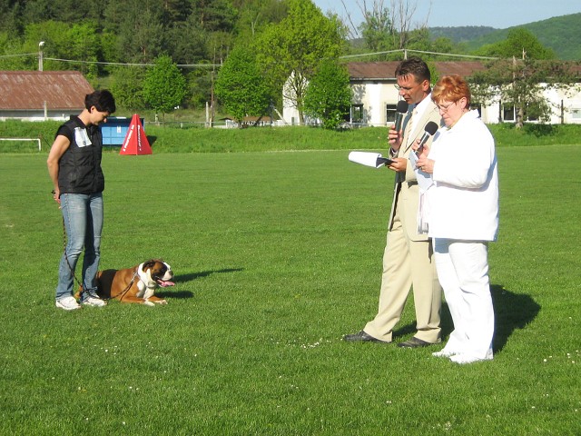 www.atibox.net * www.euroboxer.eu * www.boxergenealogia.eu